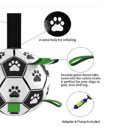 Interactive Pet Football