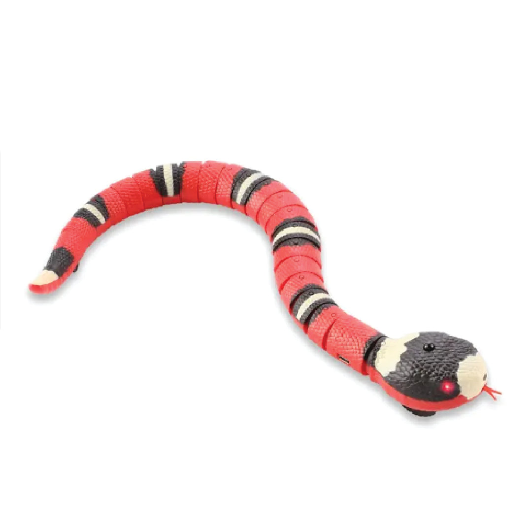 Sensing Snake Toy