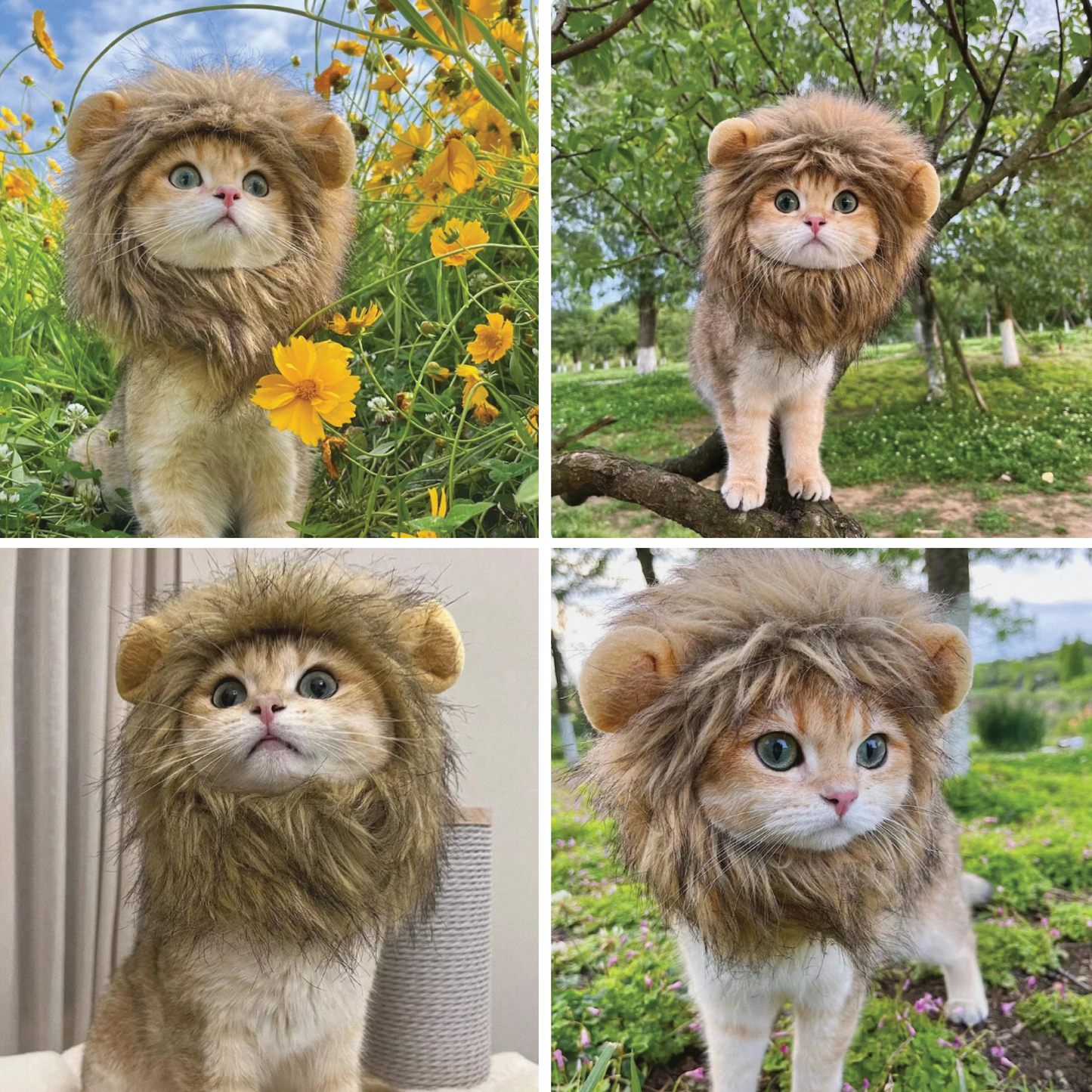 Lion Cat Costume