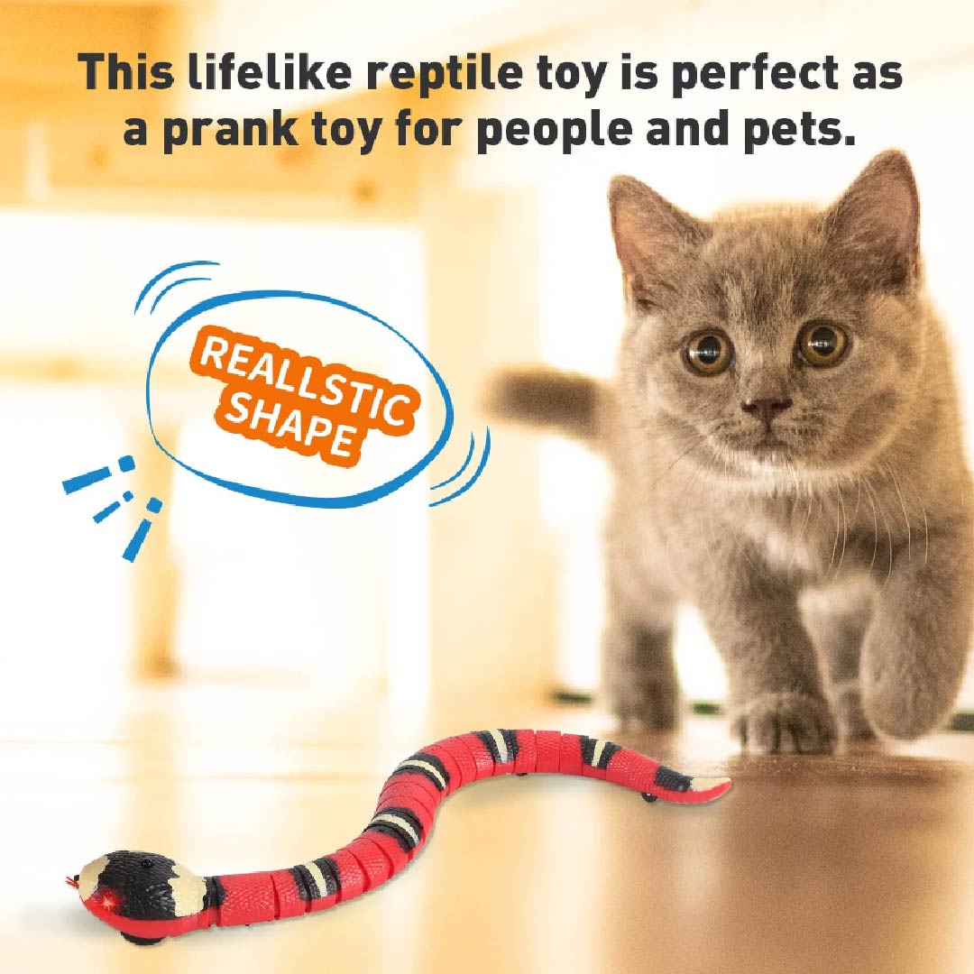 Sensing Snake Toy