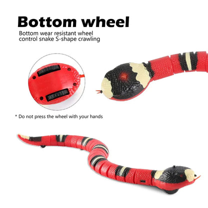 Sensing Snake Toy