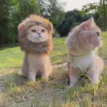 Lion Cat Costume